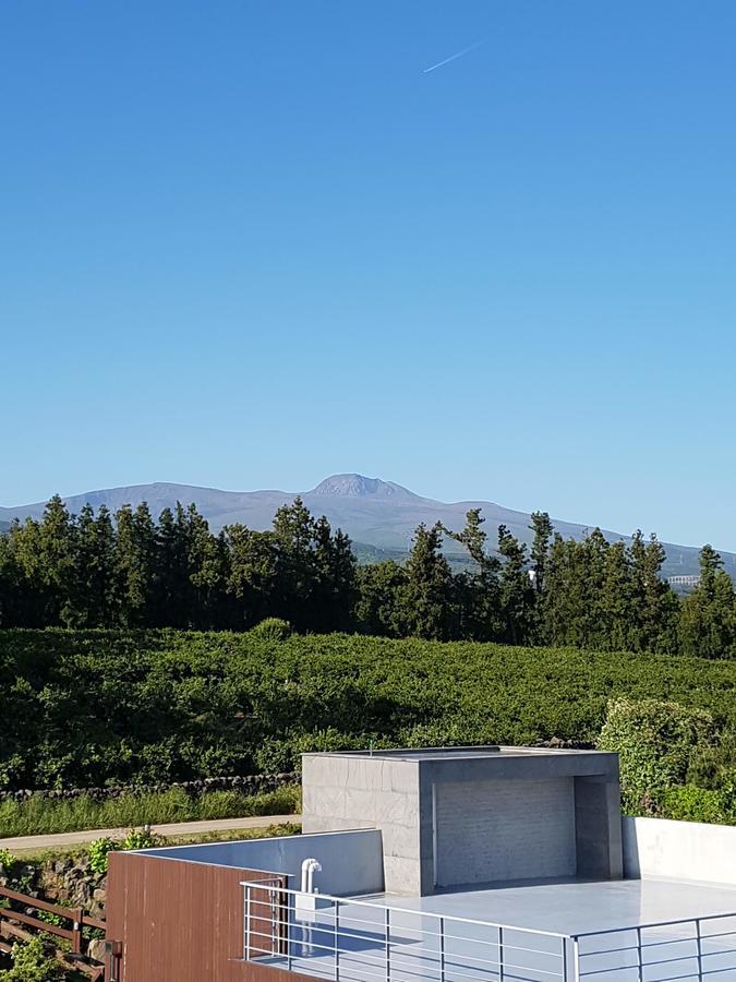 Jeju Eco Suites Seogwipo Exteriör bild