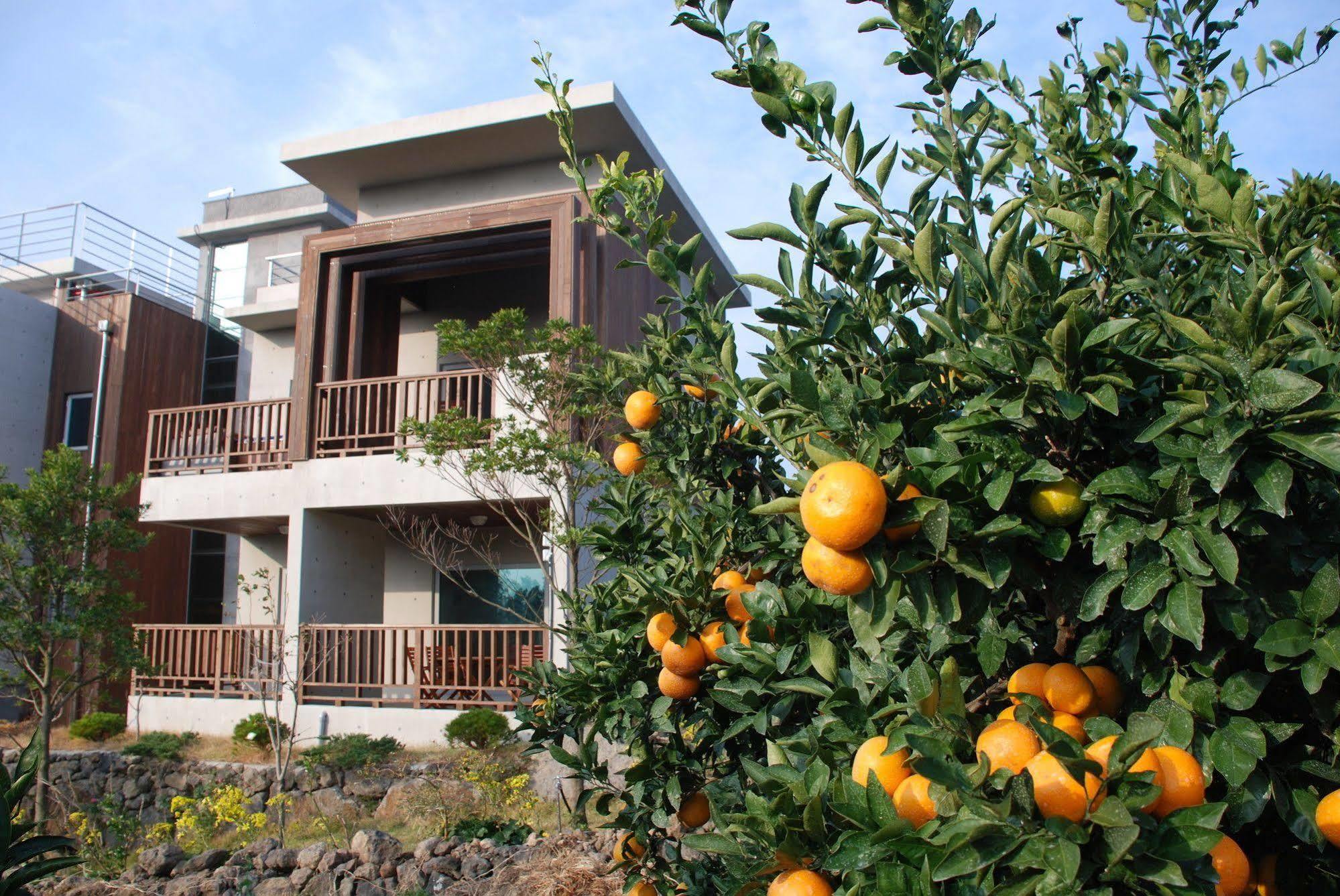 Jeju Eco Suites Seogwipo Exteriör bild