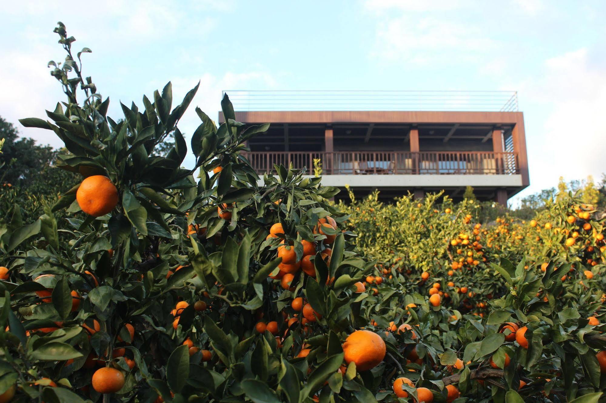 Jeju Eco Suites Seogwipo Exteriör bild